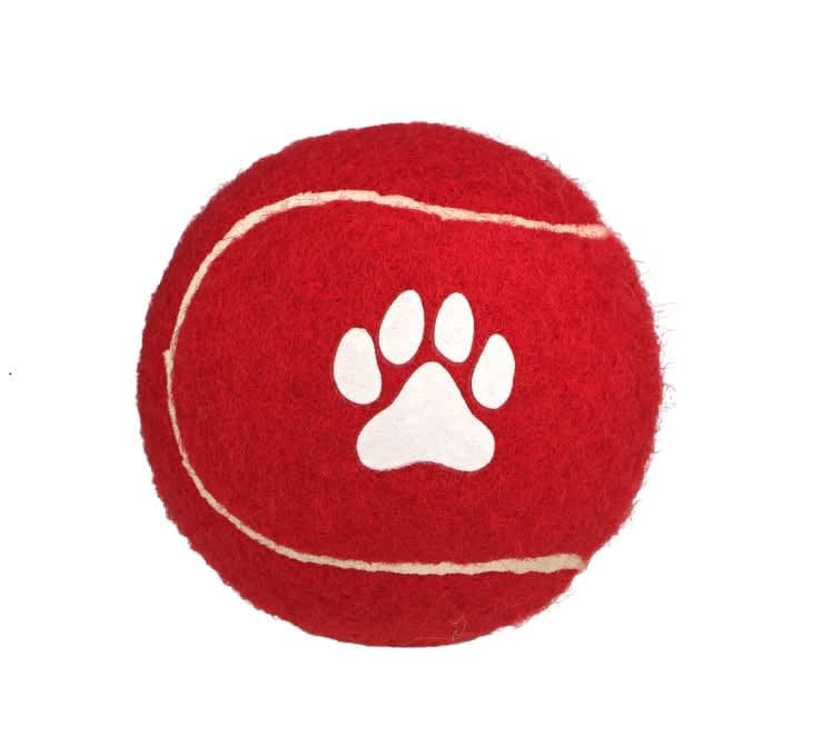 dog_fetch_ball_1.jpg