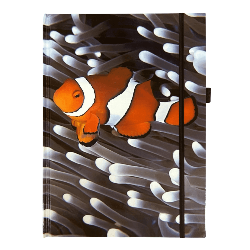 a4hcnb_693477e1-212a-44cd-a12f-60babbcfbee8.png