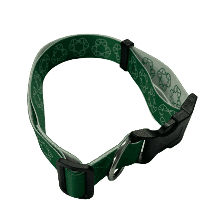rpet_dog_collar.png