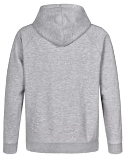 A grey men's fleecy hoodie featuring a hood and a logo. The back is designed with raglan sleeves.