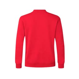 A red hoodie with a simple design and a logo, featuring a crew neckline and long sleeves.
