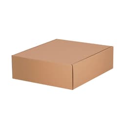 A brown, rectangular cardboard box with a flap closure, suitable for packaging products.