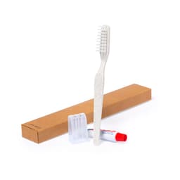 A dental kit featuring a white toothbrush, a small tube of toothpaste, and a protective case in a brown packaging box.