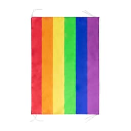 A rainbow flag featuring horizontal stripes in red, orange, yellow, green, blue, and purple, with ties for hanging.