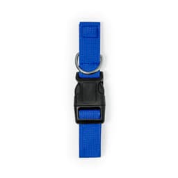 A blue pet collar featuring a robust buckle and a metal D-ring for attaching tags or leashes.