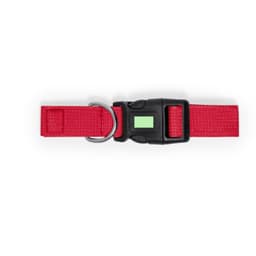 A red pet collar featuring a sturdy black buckle and a metal D-ring for attaching a lead.