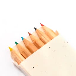 A set of coloured pencils in a white holder, featuring red, blue, green, yellow, and black tips.
