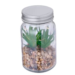 A decorative plant in a glass jar with a silver lid, featuring green foliage and pebbles at the base.