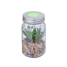 A decorative plant housed in a transparent jar with a silver lid, featuring green foliage and small pebbles at the base.