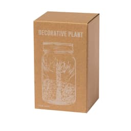 A decorative plant in a mason jar, presented in a brown cardboard box featuring a simple illustration.