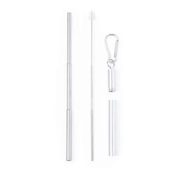 A silver drinking straw set featuring a collapsible straw, cleaning brush, and a carrying case with a clip.