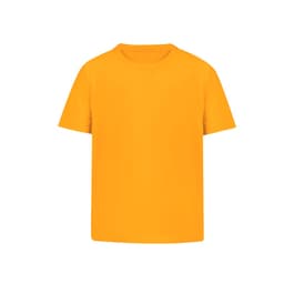 An orange T-shirt with a round neck and short sleeves. It features a logo on the front.