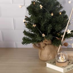 A small artificial Christmas tree in a burlap pot, decorated with star ornaments and fairy lights, beside a glass globe.