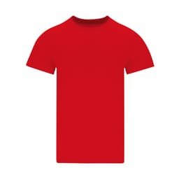 A red adult colour t-shirt with a round neckline and short sleeves. It has a branding logo.