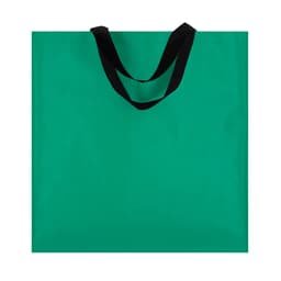 A green promotional bag with black handles and a simple design. The bag features a logo.