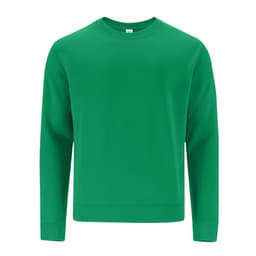 A green sweatshirt with long sleeves and a crew neck. It features a simplistic design and includes a logo.