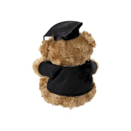 A plush teddy bear in a black graduation cap and gown, featuring fluffy brown fur and a simple design.