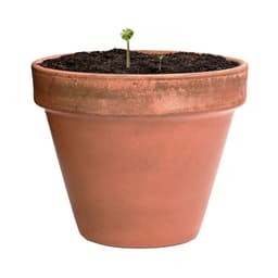 A terracotta plant pot filled with soil, featuring a couple of small green shoots emerging from the top.