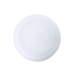 A white plate with a smooth, glossy surface, featuring a slight raised edge and a central design.