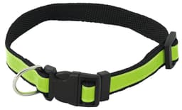 A black pet collar with a bright green accent and a plastic buckle, featuring a metal D-ring for attaching tags.