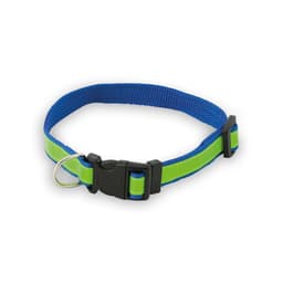 A blue and green pet collar featuring a sturdy buckle and a metal D-ring for leash attachment. It has a logo.