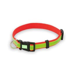 A red and green Muttley pet collar made of durable material, featuring a black buckle and a metal D-ring.