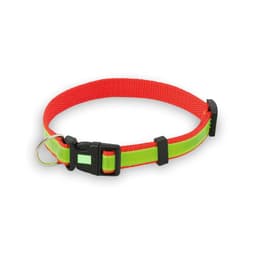A vibrant red and green pet collar featuring a quick-release buckle and a metal D-ring for attaching a lead.