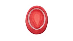 A red mesh kids hat featuring a breathable design and an inner lining, suitable for various outdoor activities.
