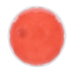 A round, clear dish containing a vibrant pink gel-like substance, with a smooth surface.