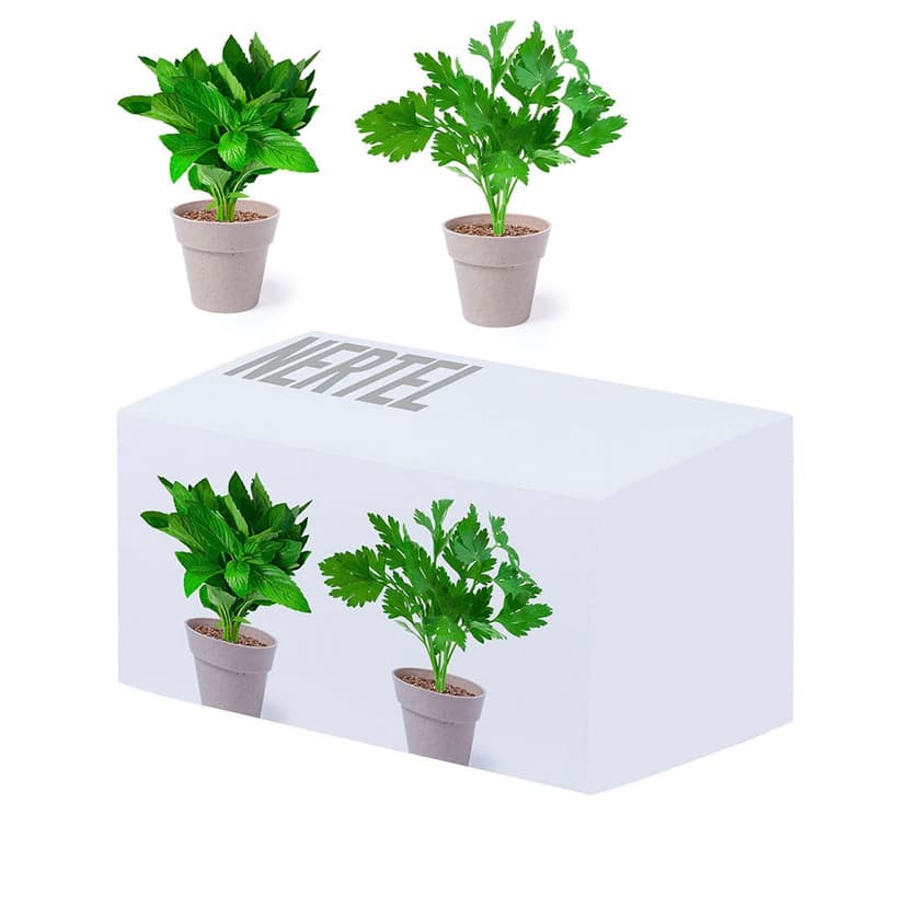 5113-000-11.jpg