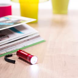 A small red torch with a strap, resting on a wooden surface next to magazines and colourful plant pots.