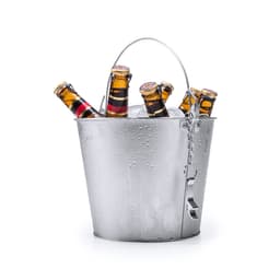 A silver ice bucket filled with ice and several bottles, featuring a handle for easy carrying.