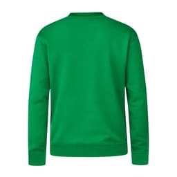 A green hoodie featuring a simple design with a ribbed neckline and an embroidered logo on the back.