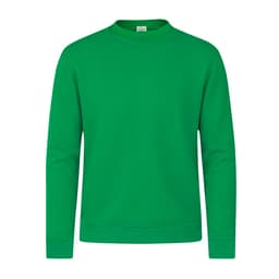 A green sweatshirt with a crew neck and long sleeves. It features a logo on the label.