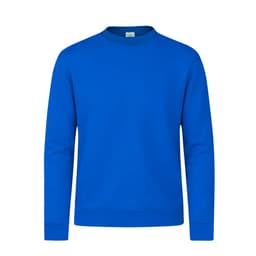 A blue SWC280 hoodie with a crew neck and long sleeves. It features a branding logo.