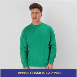A green SWC280 hoodie featuring a logo, designed as a promotional product in the jumper category.