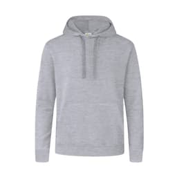 A grey hoodie featuring a front pocket and drawstring hood. The design includes a small logo.