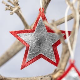 A red and silver star decoration hanging on a branch, featuring a glossy finish and a glittery texture.