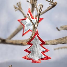 Red and silver Christmas tree and star decorations hanging from a bare branch, set against a muted background.