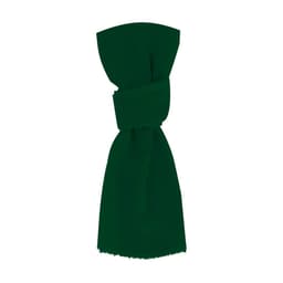 A deep green scarf with a tied detail and frayed edges, featuring a branding logo.