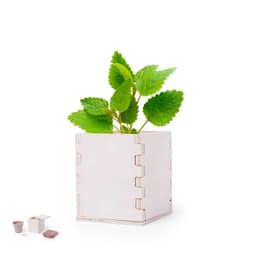 A wooden planter box with a plant, featuring green leaves, alongside soil pellets and a seedling pot.