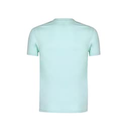 A mint green adult T-shirt with a simple design and a logo on the back. Short sleeves and a round neckline.