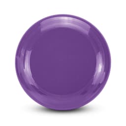Aero Flyer - Large in vibrant purple with a smooth, glossy finish and circular design. Features a logo.