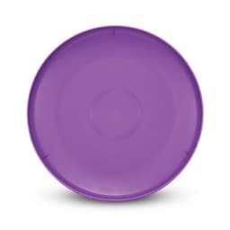 A large purple Aero Flyer with a smooth surface and a central design, featuring a branding logo.
