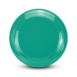 Aero Flyer - Large in teal, featuring a smooth finish and subtle circular line design. Includes a branding logo.