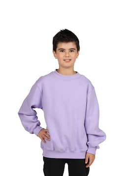 A kid wearing a lavender crew neck jumper. The jumper has a relaxed fit and long sleeves.