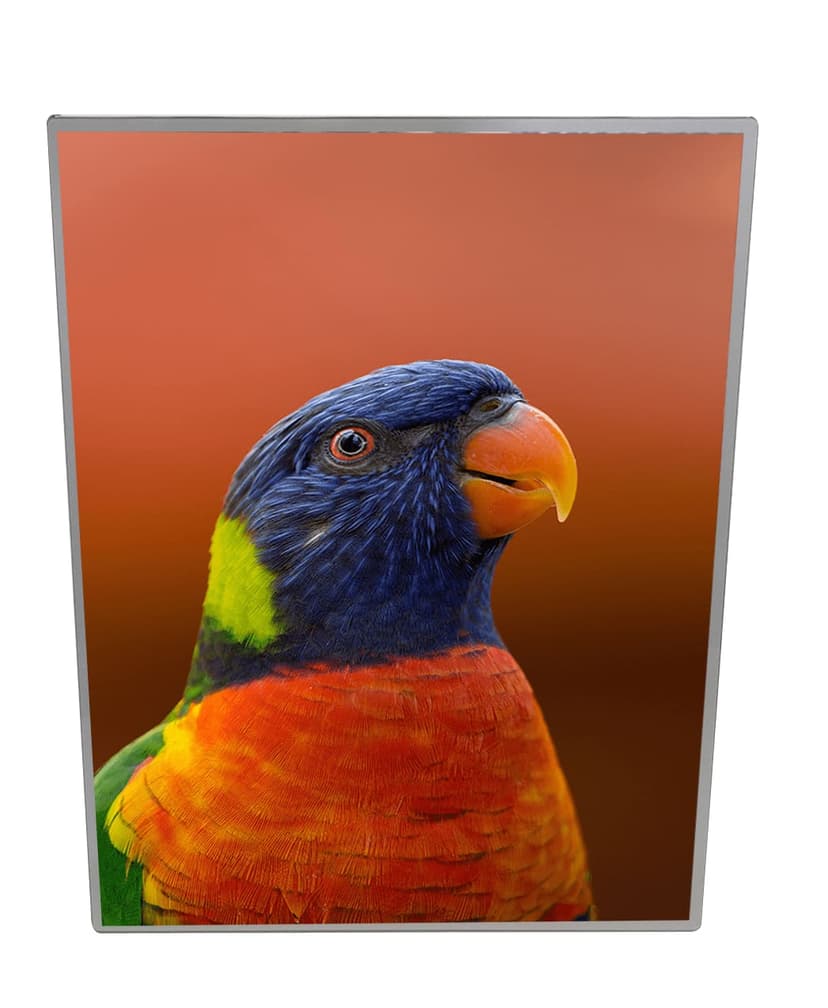 backlit_poster_framea.jpg