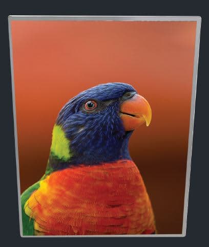light_box_frame_2.jpg
