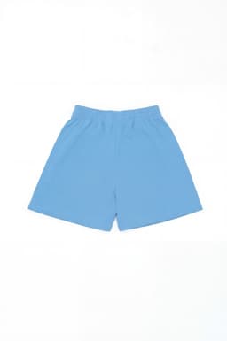 Light blue sports shorts with an elastic waistband and a brand logo included.