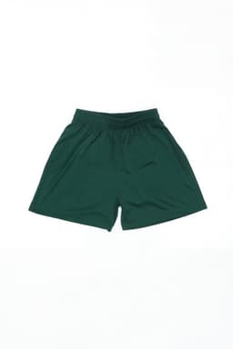 Green sports shorts featuring an elastic waistband and a logo. Ideal for a variety of athletic activities.